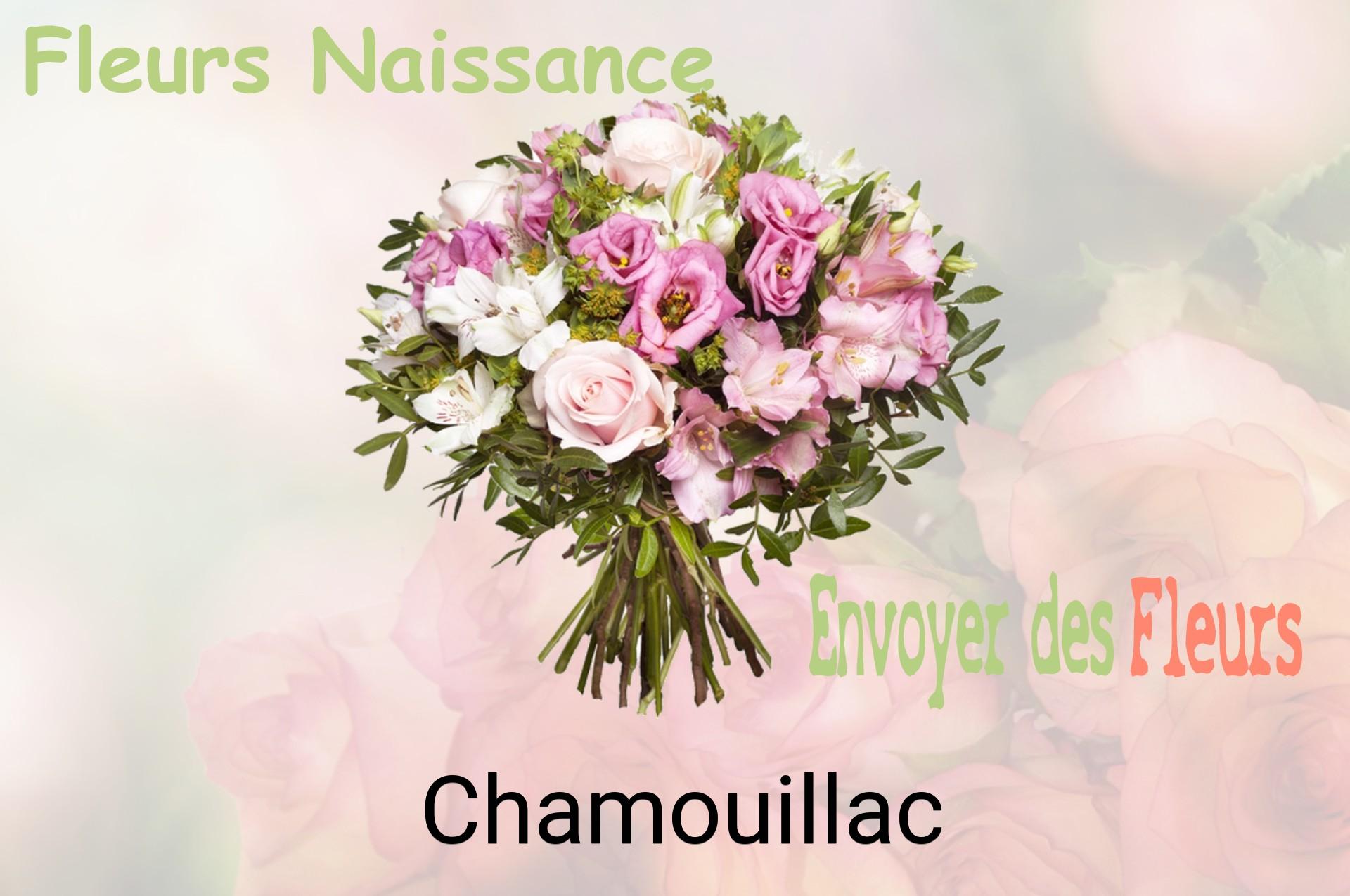 Bouquet de fleurs de naissance livré à Chamouillac